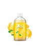 E LIQUIDE CITRON 1L - XTRA JUICE BAR--alavape.com