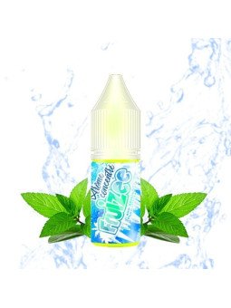 ICEE MINT CONCENTRÉ 10ML - FRUIZEE-DIY - Do It Yourself-alavape.com