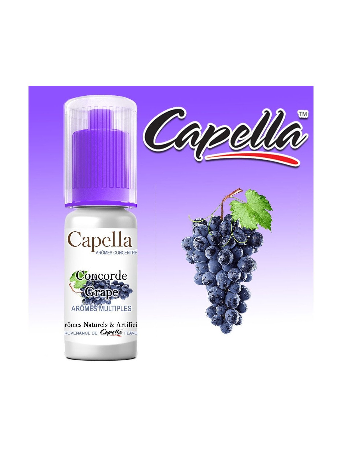 CONCENTRÉ CONCORD GRAPE - CAPELLA-DIY - Do It Yourself-alavape.com