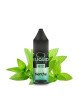 E LIQUIDE MENTHE 10ML - ELIQUID FRANCE--alavape.com