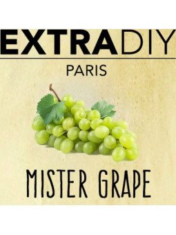 CONCENTRÉ RAISIN 'MISTER GRAPE' - EXTRADIY-DIY - Do It Yourself-alavape.com