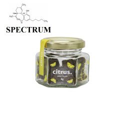 CITRUS - SPECTRUM-CBD-alavape.com