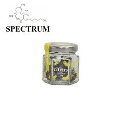 CITRUS - SPECTRUM-CBD-alavape.com
