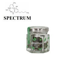 AMNESILIUM - SPECTRUM-CBD-alavape.com