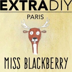 CONCENTRÉ MURE - EXTRADIY-DIY - Do It Yourself-alavape.com