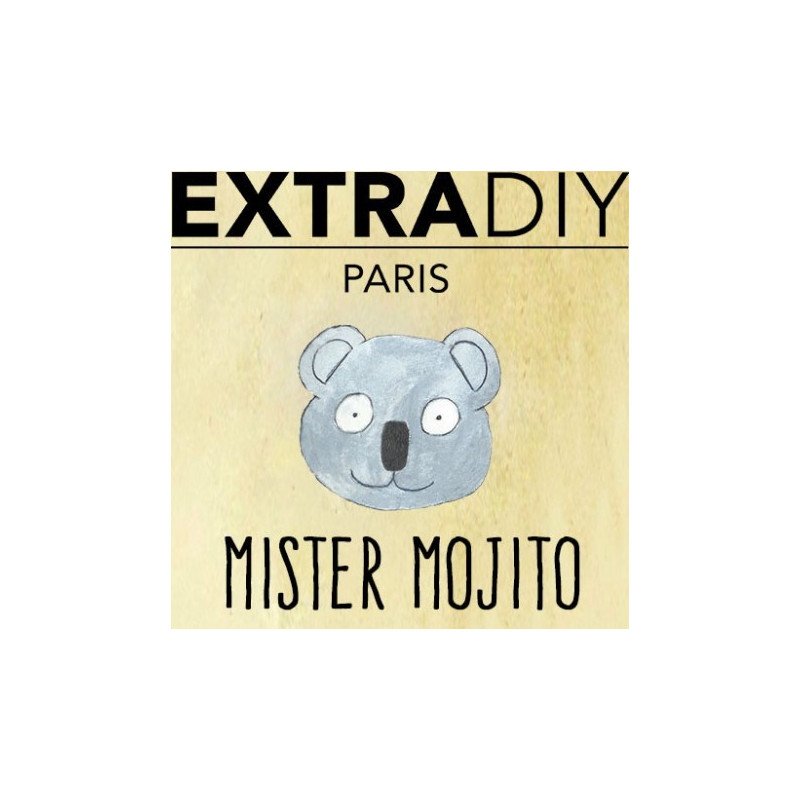 CONCENTRÉ MOJITO - EXTRADIY-DIY - Do It Yourself-alavape.com