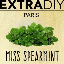 CONCENTRÉ MENTHE VERTE - EXTRADIY-DIY - Do It Yourself-alavape.com