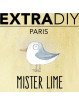 CONCENTRÉ CITRON VERT 'MISTER LIME' - EXTRADIY-DIY - Do It Yourself-alavape.com
