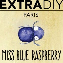 CONCENTRÉ FRAMBOISE BLEUE - EXTRADIY-DIY - Do It Yourself-alavape.com