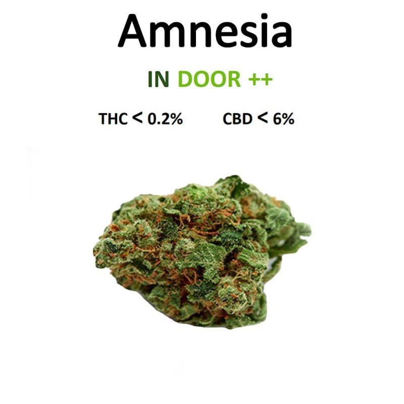 AMNESIA 100G - LA CHÈNEVIÈRE-CBD-alavape.com