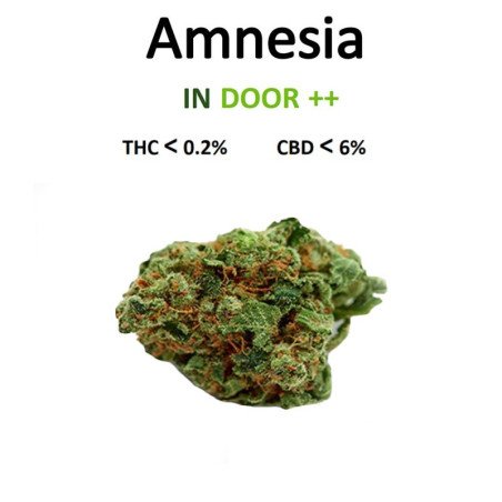 AMNESIA 100G - LA CHÈNEVIÈRE-CBD-alavape.com