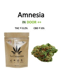 AMNESIA 100G - LA CHÈNEVIÈRE-CBD-alavape.com