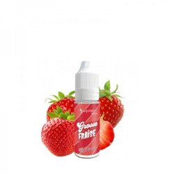 E LIQUIDE GROSSE FRAISE 10ML - WPUFF FLAVORS LIQUIDEO-Eliquides-alavape.com