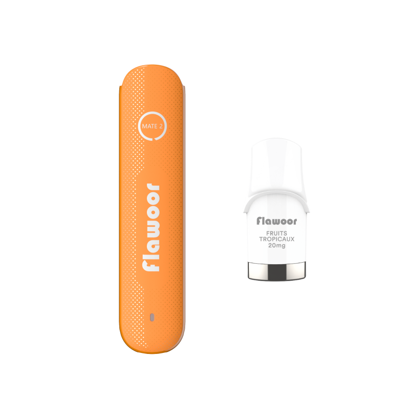 PUFF MANGUE GLACÉE - FLAWOOR MATE 2-PUFFS-alavape.com