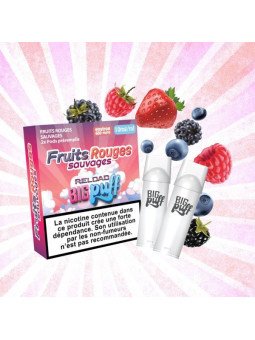 CARTOUCHES PUFF FRUITS ROUGES SAUVAGES / 2PCS - BIG PUFF RELOAD-PUFFS-alavape.com