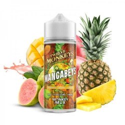 E-LIQUIDE MANGABEYS 100ML - TWELVE MONKEYS