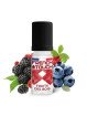 E LIQUIDE FRUIT DES BOIS 10ML - FRENCH TOUCH--alavape.com
