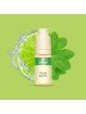 E-LIQUIDE VIRGIN MOJITO 10ML - PULP