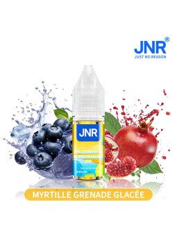 JNR Blueberry Pomegranate Ice / 10Pcs