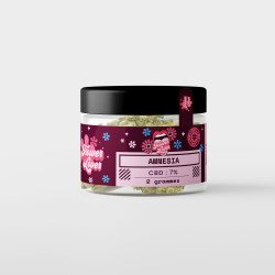Flower Lover Amnesia