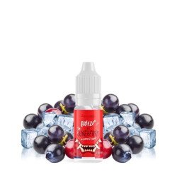 LIQUIDEO Freeze Ice Juneberry / 15Pcs