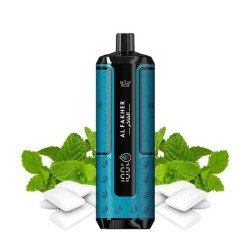 AL FAKHER Gum Mint 30K