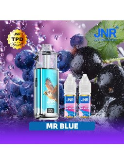 Mr Blue - FALCON NEXUS 40K JNR
