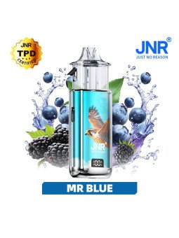 Mr Blue - FALCON NEXUS 40K JNR