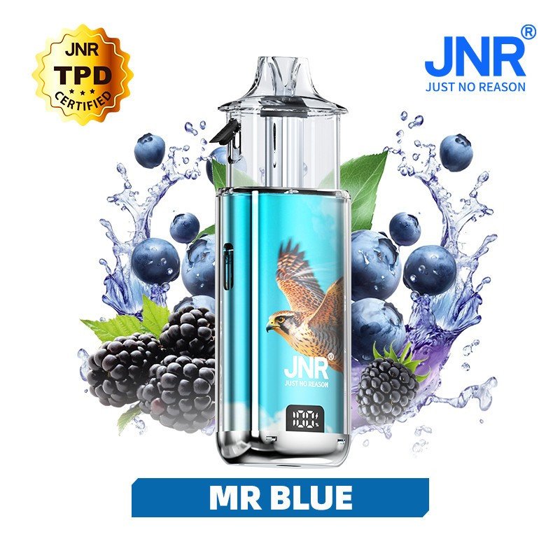 Mr Blue - FALCON NEXUS 40K JNR