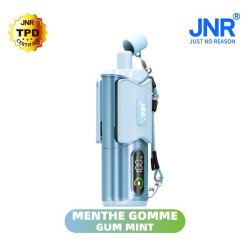 JNR Gun Mint