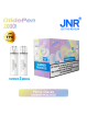 Cartouche Summer Peach Ice / 2pcs 2000 PUFFS - GLIDE PEN JNR Boite de regroupement