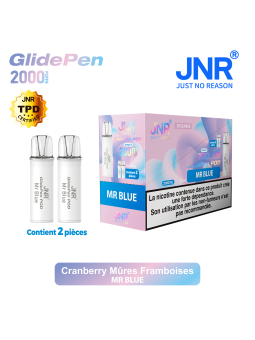 Cartouche Mr Blue / 2pcs 2000 PUFFS - GLIDE PEN JNR Boite de regroupement