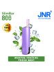 Kit Fresh Mint 800 PUFFS - SlimBar JNR