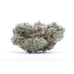 Fleurs White Widow CBN - VRAC 100G CBD