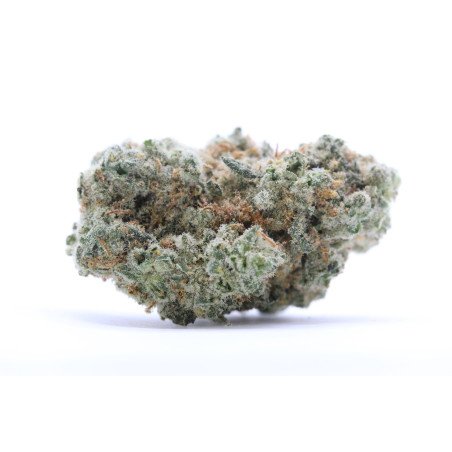 Fleurs White Widow CBN - VRAC 100G CBD