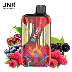 00Mg - Zpluse 42K - Jnr