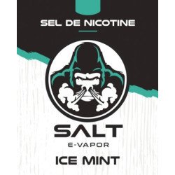 E LIQUIDE ICE MINT 10ML - SALT E VAPOR--alavape.com