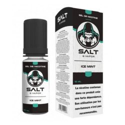 E LIQUIDE ICE MINT 10ML - SALT E VAPOR--alavape.com