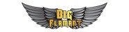 BIG FLAMANT